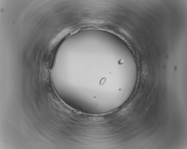 X0000055511354200509022047