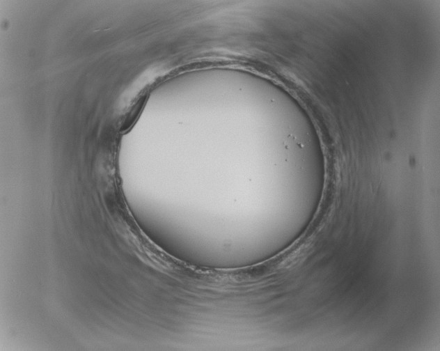 X0000055511355200509022047