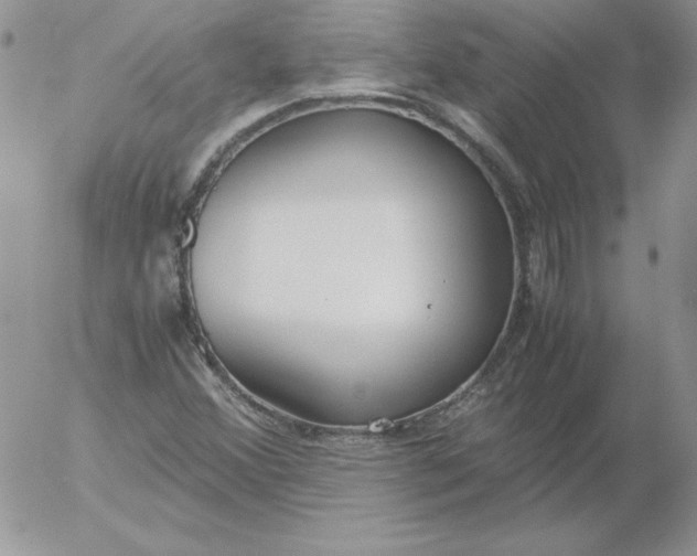 X0000055511356200509022047