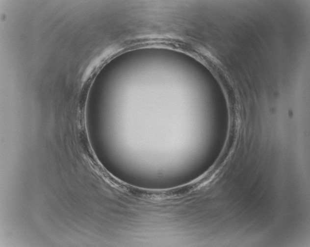 X0000055511357200509022047