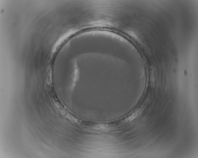 X0000055511358200509022047