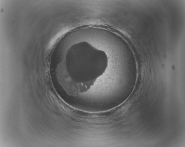 X0000055511359200509022047