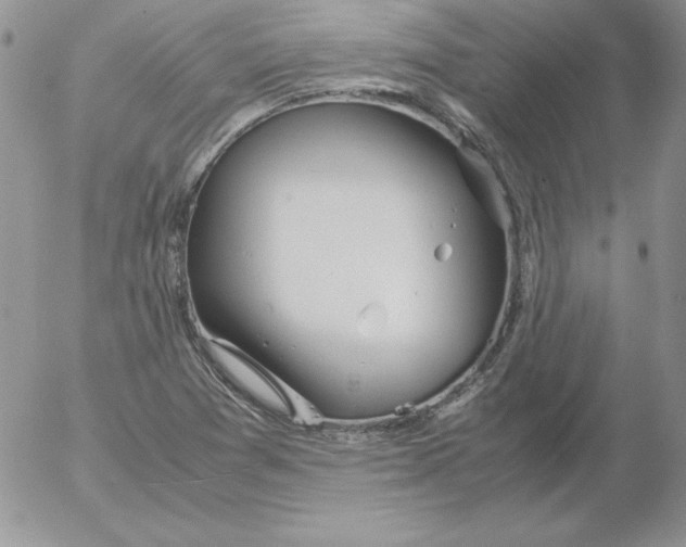 X0000055511361200509022047