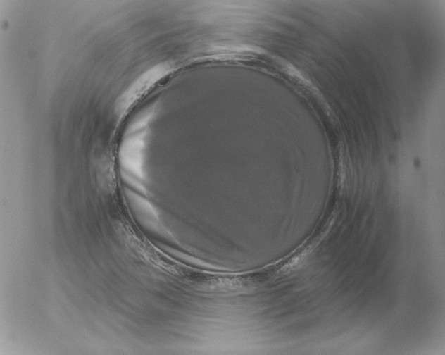 X0000055511362200509022047