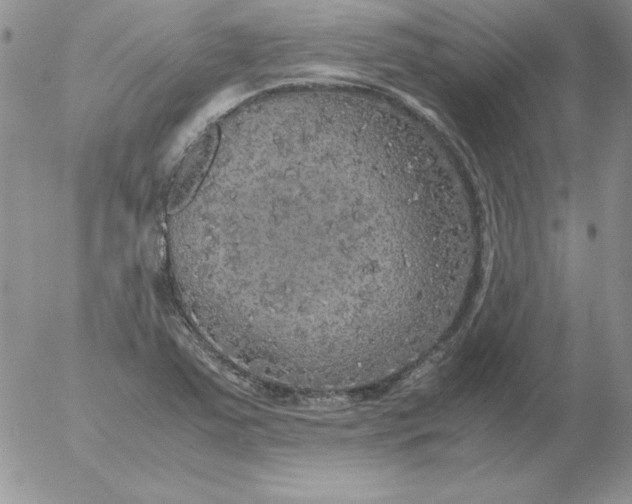 X0000055511363200509022047