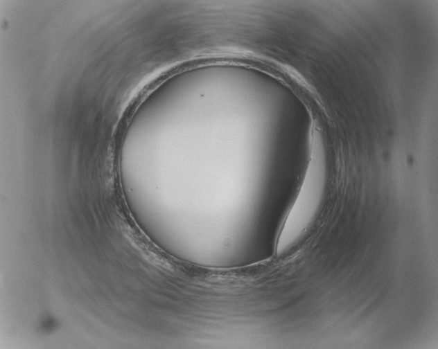 X0000055511364200509022047