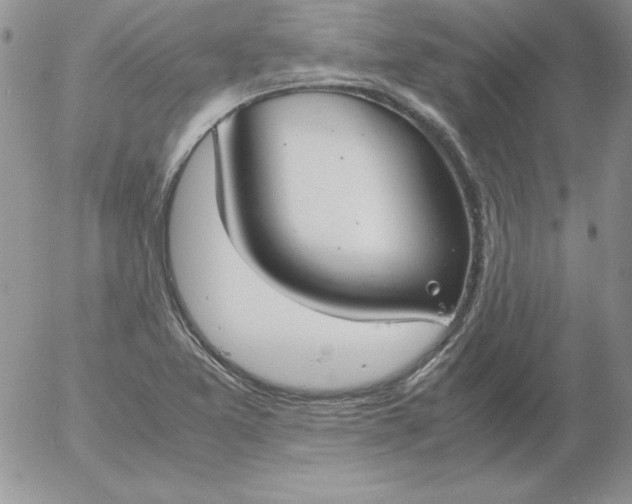 X0000055511365200509022047