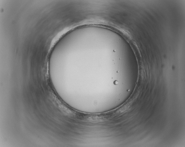 X0000055511366200509022047