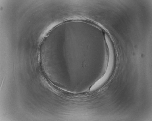 X0000055511367200509022047