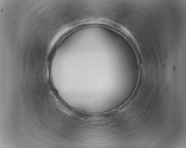 X0000055511368200509022047