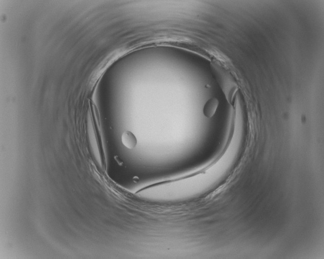 X0000055511369200509022047