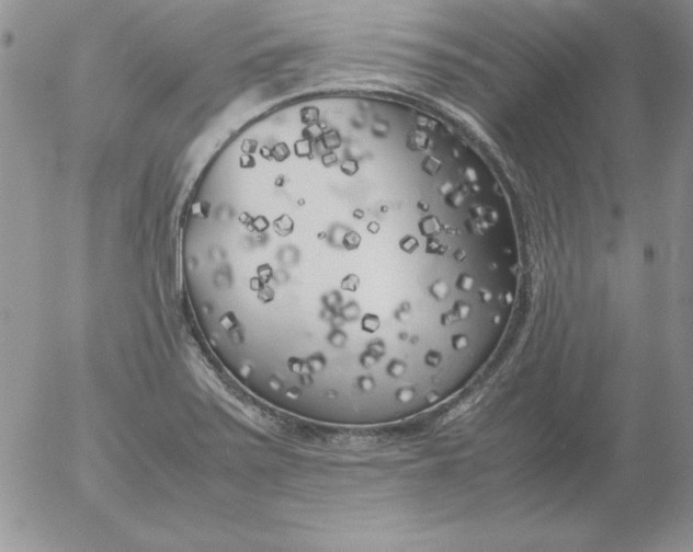 X0000055511371200509022047