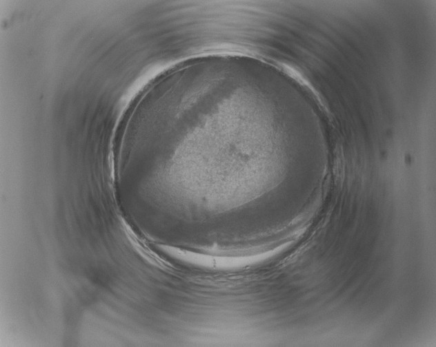 X0000055511372200509022047