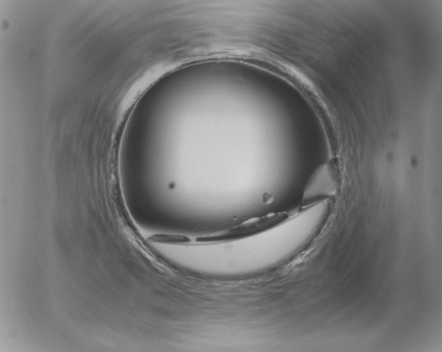 X0000055511373200509022047