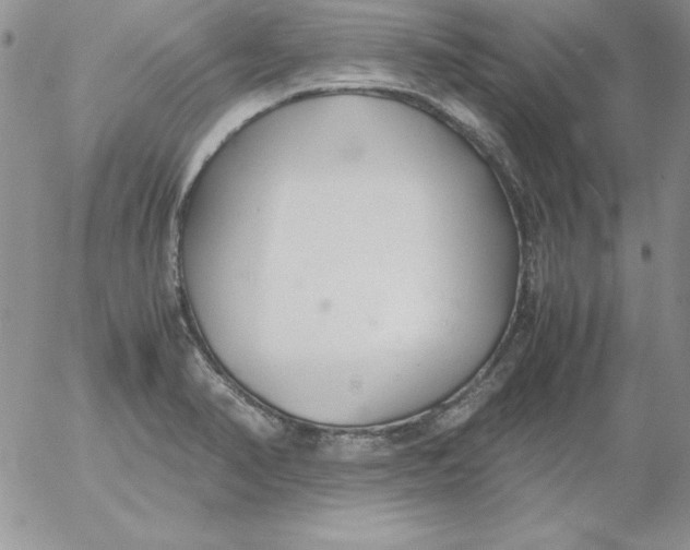 X0000055511374200509022047