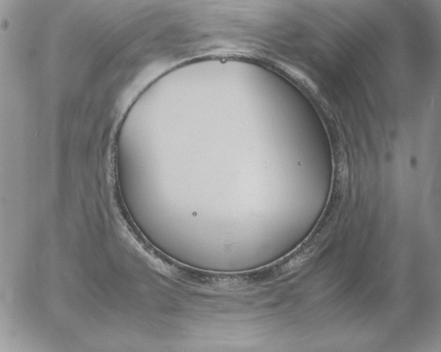 X0000055511375200509022047