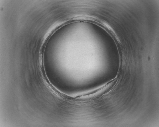 X0000055511376200509022047