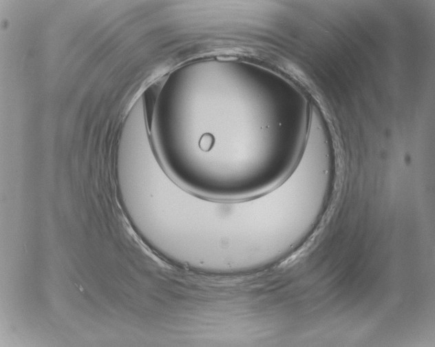 X0000055511377200509022047