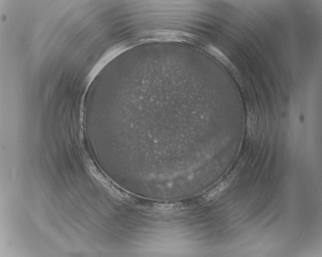 X0000055511378200509022046