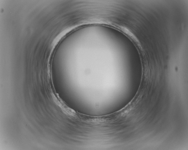 X0000055511380200509022046