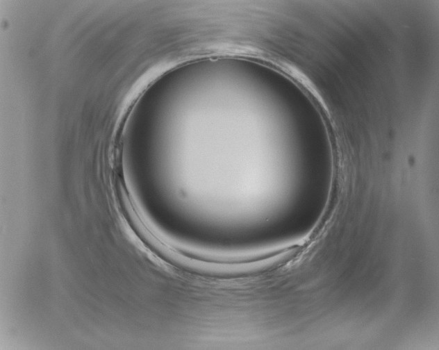 X0000055511381200509022046