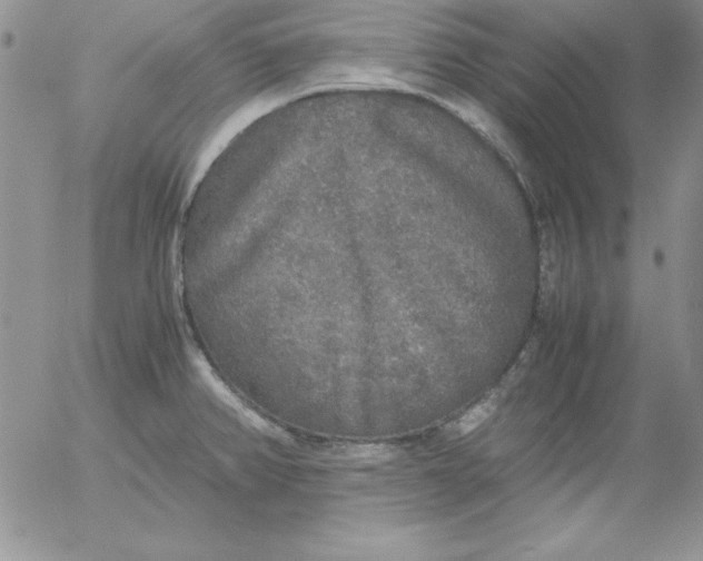 X0000055511382200509022046