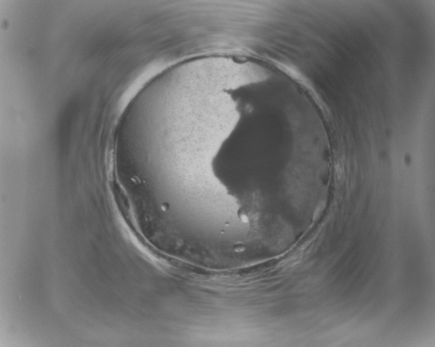 X0000055511383200509022046