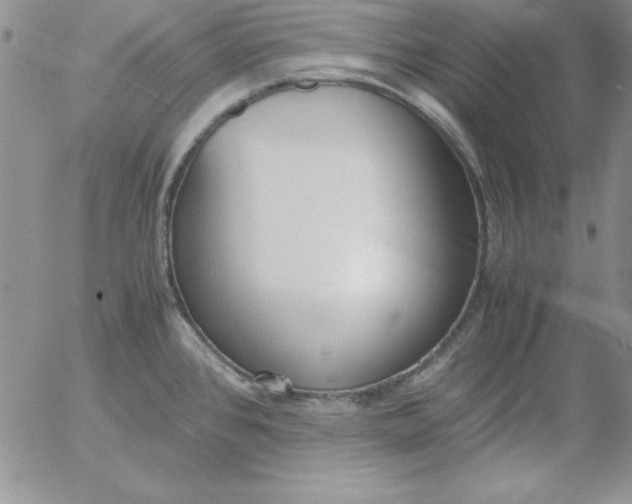 X0000055511384200509022046