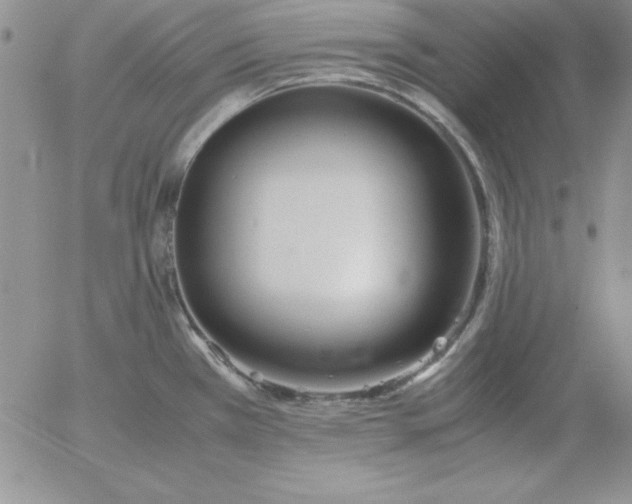 X0000055511385200509022046