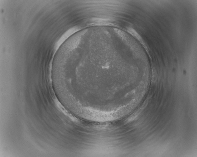 X0000055511386200509022046