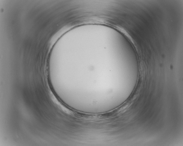 X0000055511387200509022046