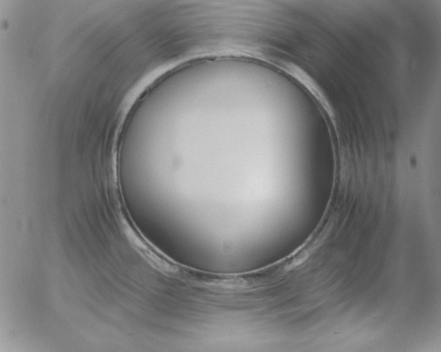 X0000055511388200509022046