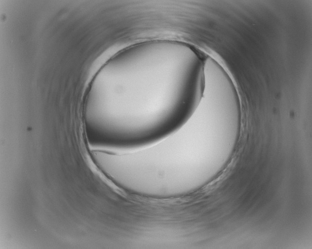 X0000055511389200509022046