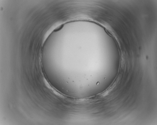 X0000055511390200509022046