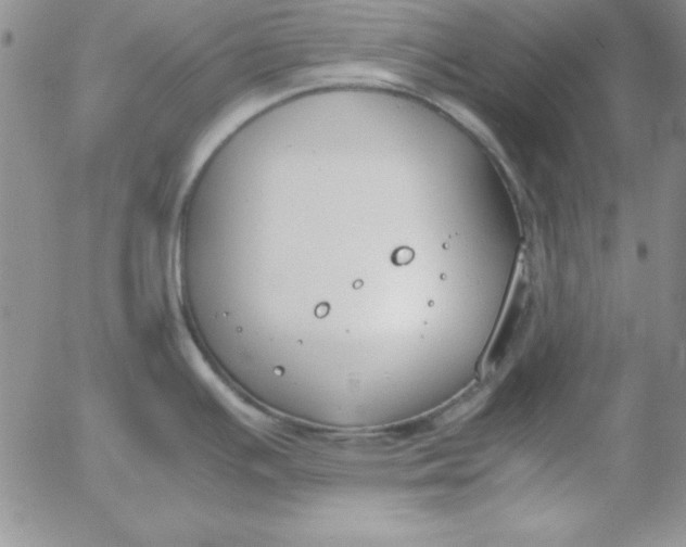 X0000055511391200509022046