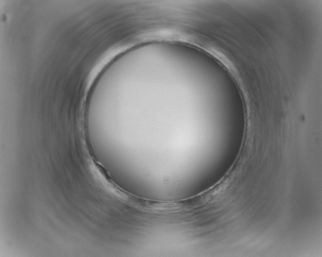 X0000055511392200509022046