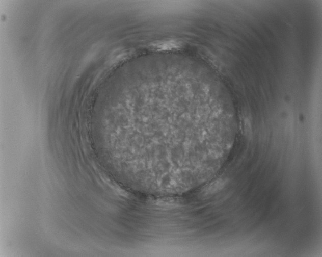 X0000055511393200509022045