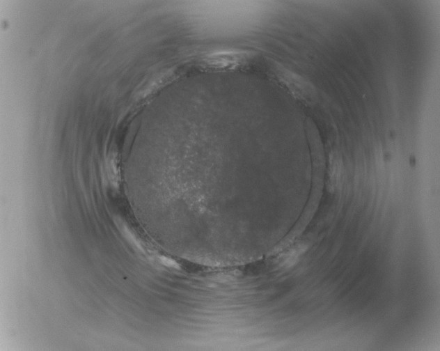 X0000055511394200509022045