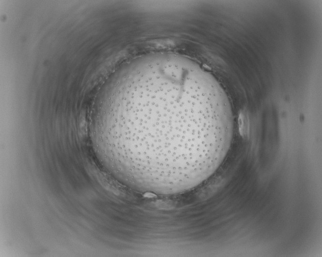 X0000055511395200509022045