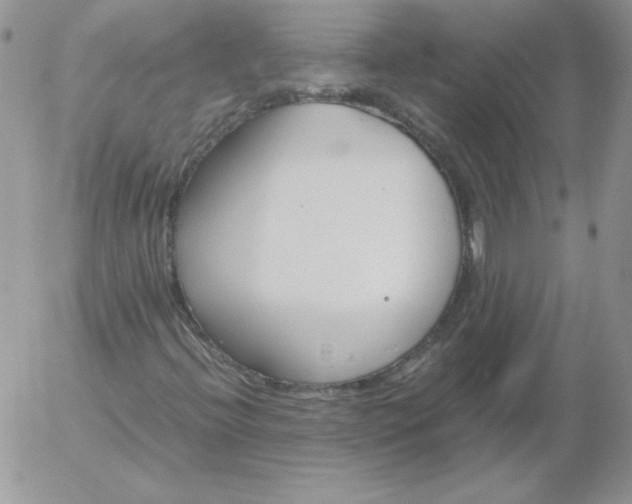 X0000055511396200509022046