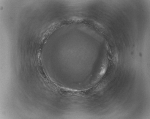 X0000055511397200509022046