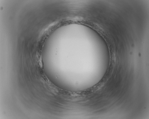 X0000055511398200509022046