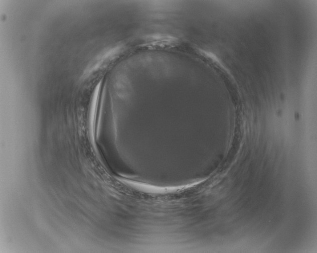 X0000055511399200509022046