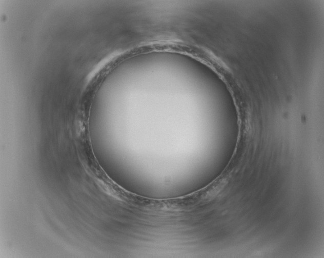 X0000055511400200509022046