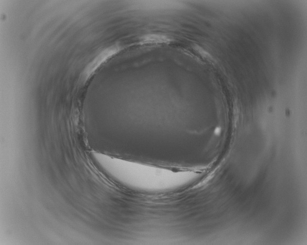 X0000055511401200509022046