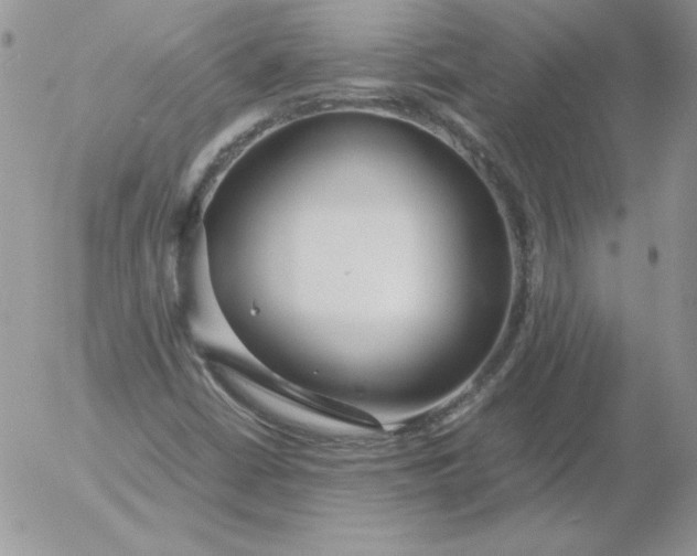 X0000055511402200509022046