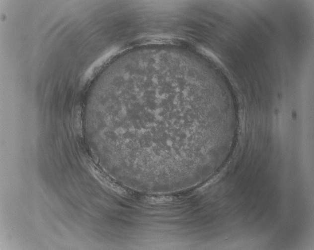 X0000055511403200509022046