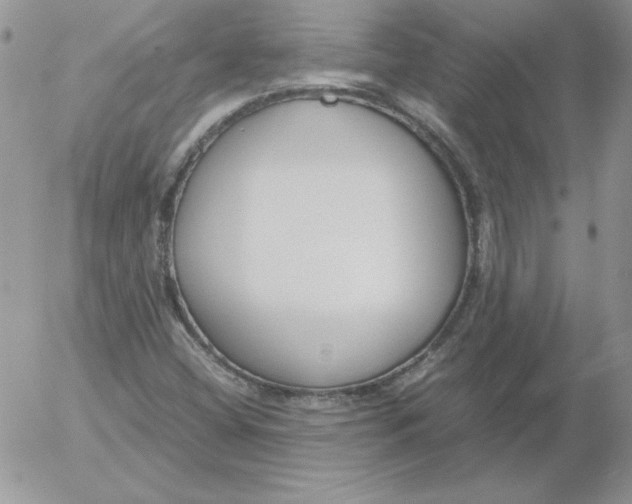 X0000055511404200509022046