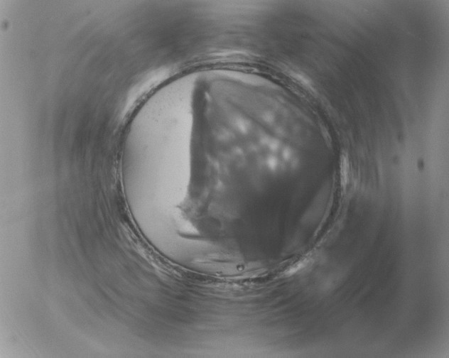 X0000055511405200509022046