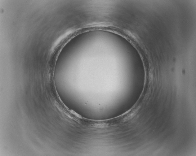 X0000055511406200509022046